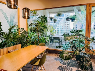 A cozy, indoor dining area adorned with a variety of lush green plants. The space features a simple wooden dining table and modern chairs. Large windows provide a view of an outdoor balcony filled with additional potted plants, with urban buildings in the background. Stylish pendant lights hang from the ceiling, adding warmth to the scene.