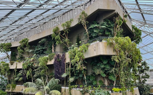 A concrete structure surrounded by lush green plants and trees, housed within a large greenhouse with a glass-paneled roof. The upper levels of the building have dense foliage, adding a vibrant, natural feel to the otherwise industrial environment.
