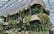 A concrete structure surrounded by lush green plants and trees, housed within a large greenhouse with a glass-paneled roof. The upper levels of the building have dense foliage, adding a vibrant, natural feel to the otherwise industrial environment.