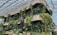 A concrete structure surrounded by lush green plants and trees, housed within a large greenhouse with a glass-paneled roof. The upper levels of the building have dense foliage, adding a vibrant, natural feel to the otherwise industrial environment.