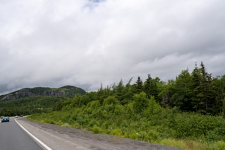 A scenic roadway travels alongside a lush, green forest with dense trees and shrubs. In the background, rolling hills or mountains rise under a cloudy sky, suggesting an overcast day. Several vehicles are seen driving along the road, adding a touch of movement to the tranquil natural setting.
