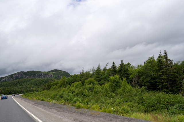 A scenic roadway travels alongside a lush, green forest with dense trees and shrubs. In the background, rolling hills or mountains rise under a cloudy sky, suggesting an overcast day. Several vehicles are seen driving along the road, adding a touch of movement to the tranquil natural setting.