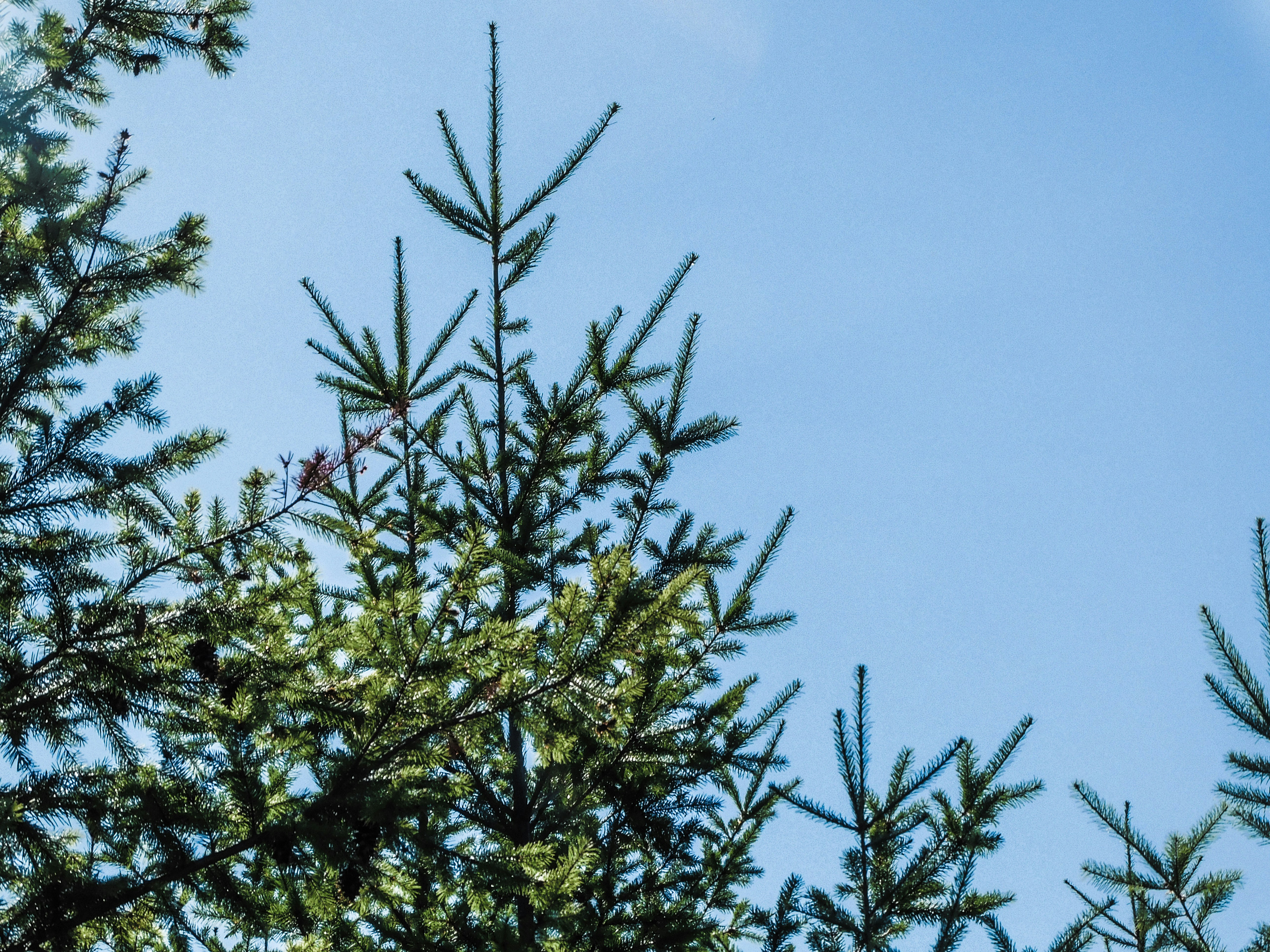 Photo by prphotography262