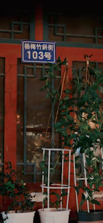 Exterior view of homestay facade featuring warm saffron and white tones with signage
