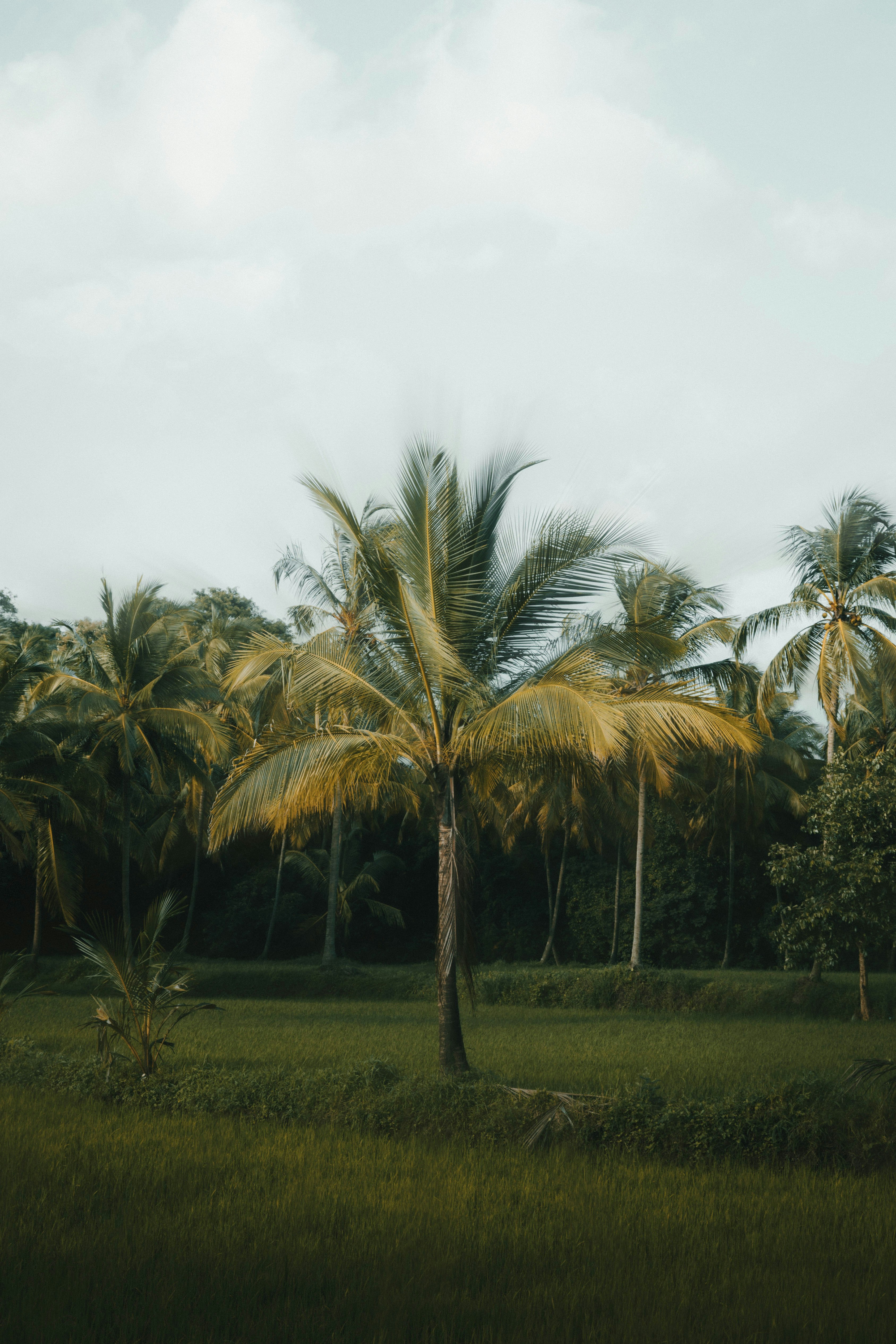 Photo by haythamkenway