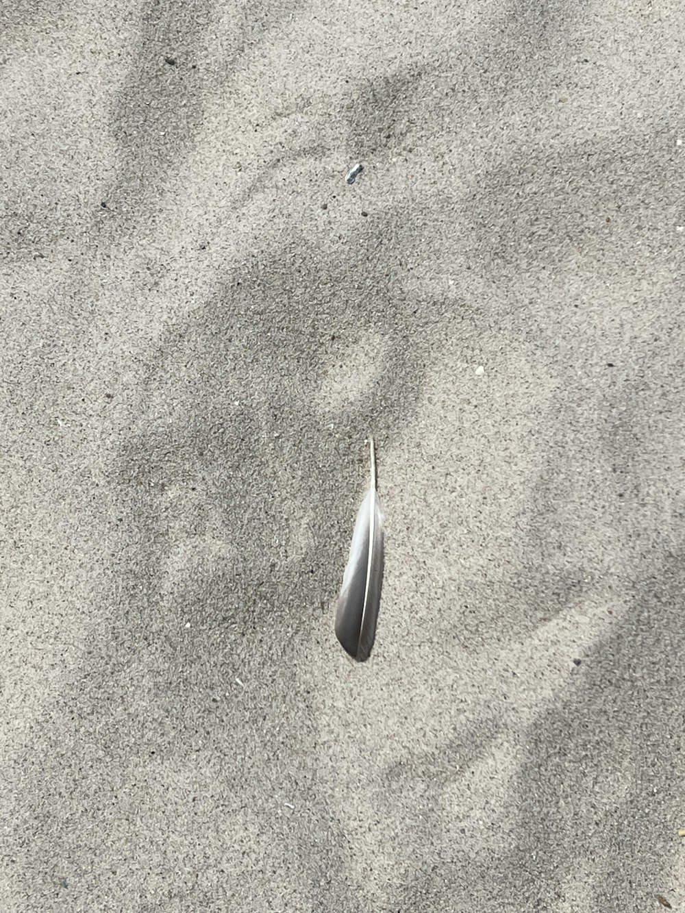 an object is laying in the sand on the beach