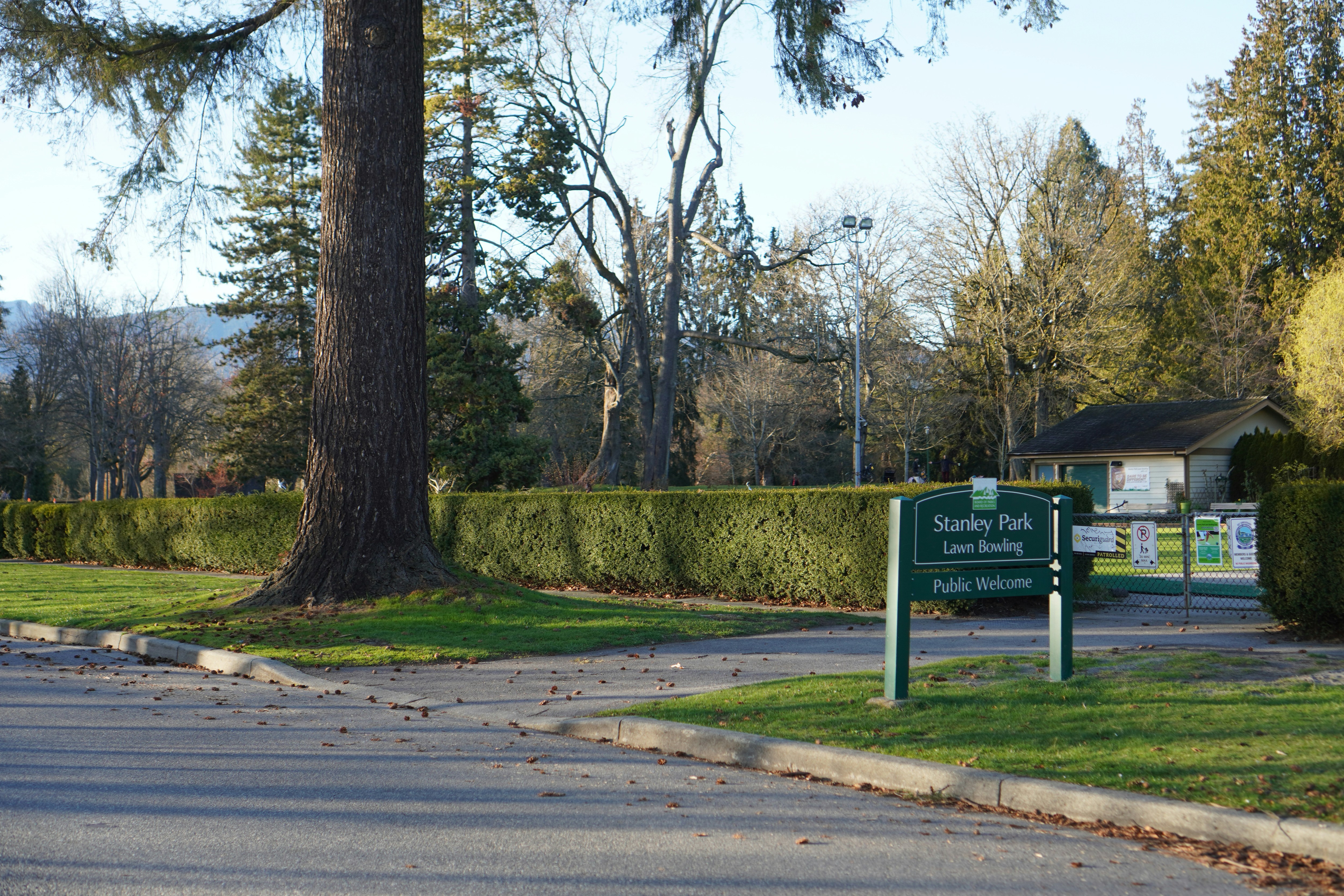 Veteran's Park