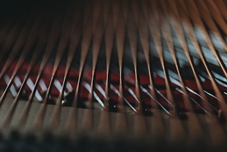Black and white shot of piano strings inside the instrument, highlighting intricate details.
