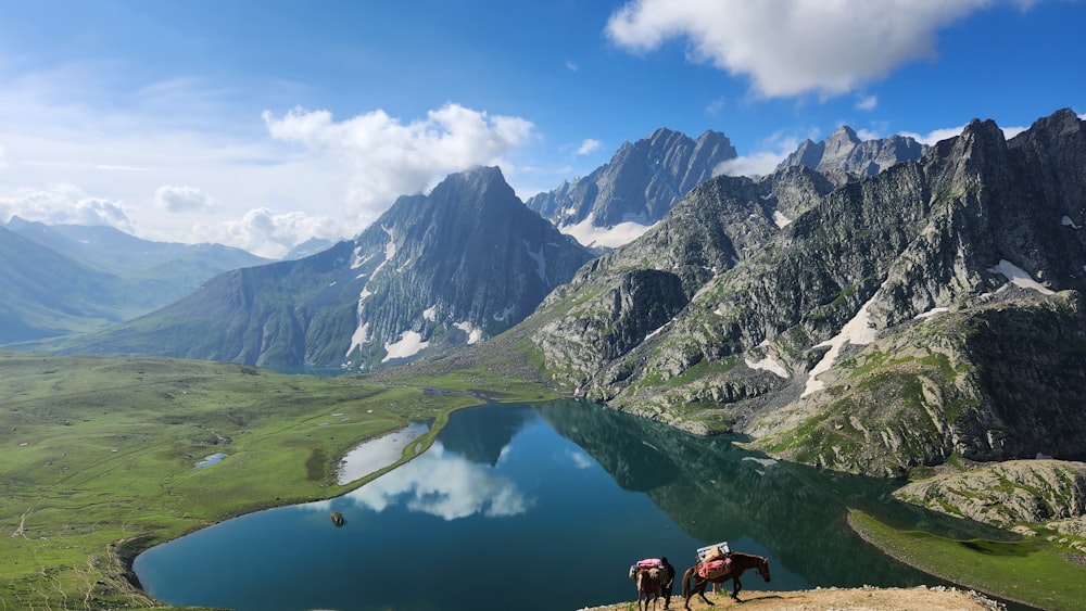 a couple of horses standing on top of a mountain