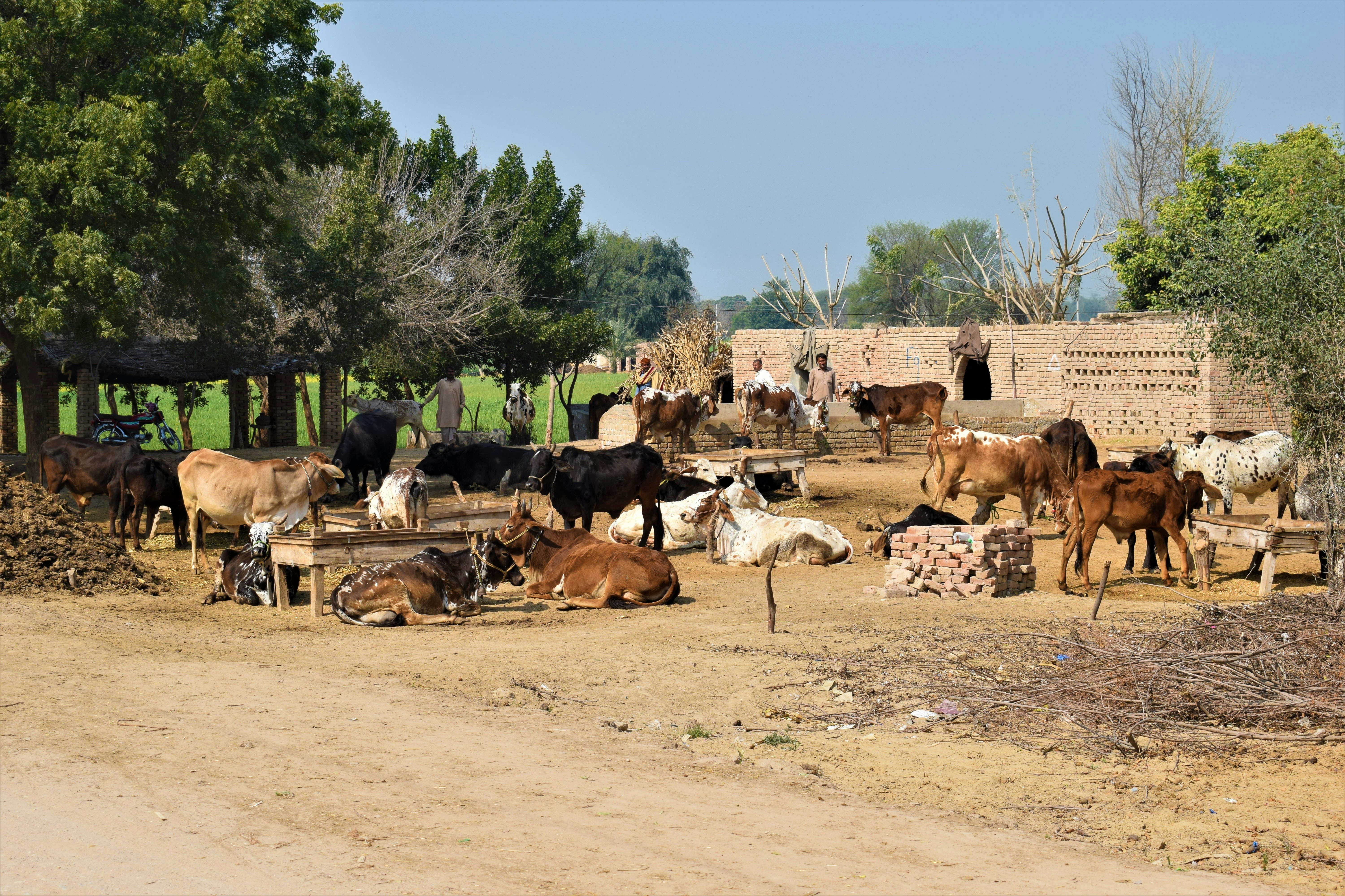 photo-1692158765644-6ce833bee435