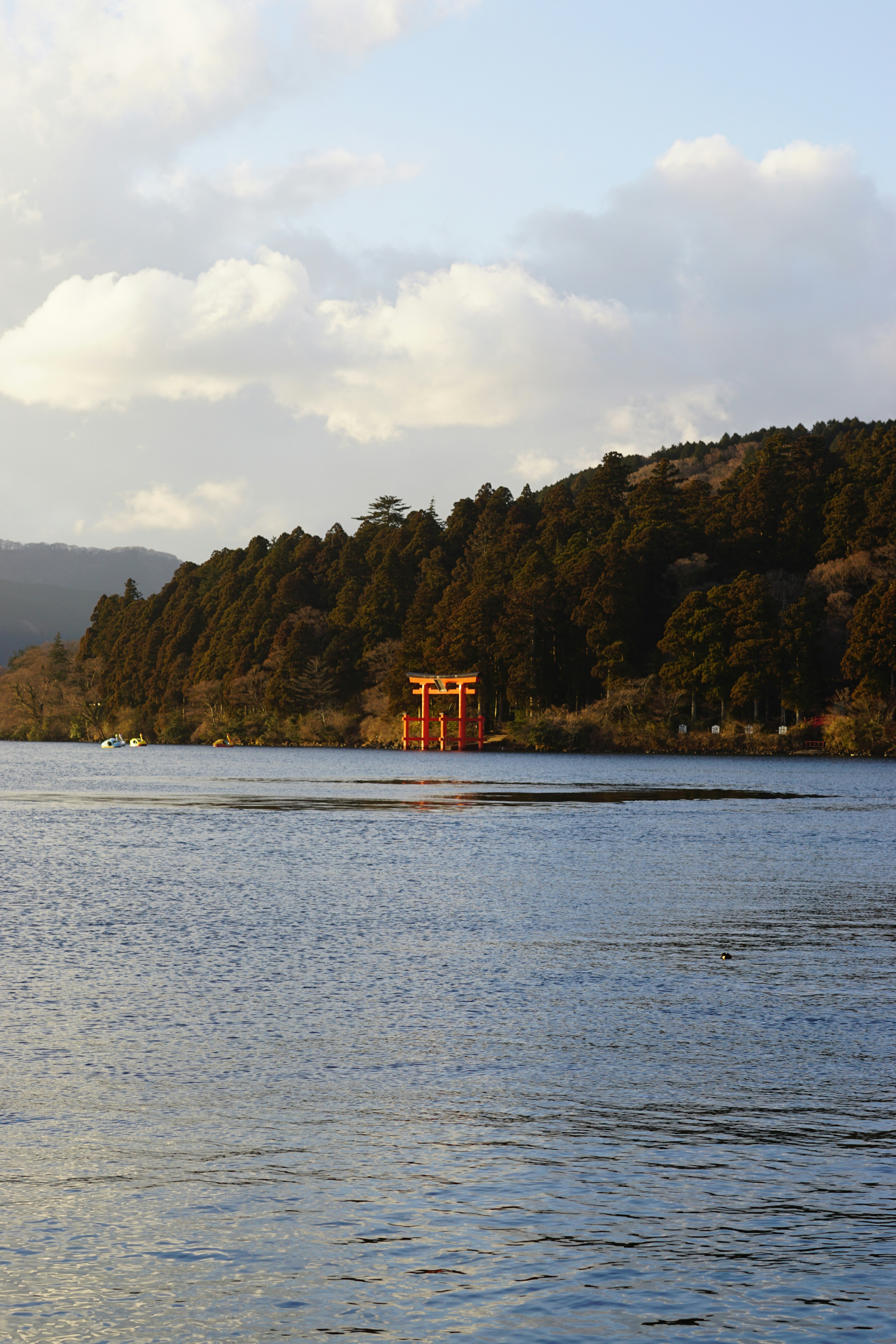 Photo by diadesigner