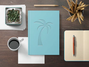 A neatly arranged desk with a journal, a cup of herbal tea, and a delicate green succulent.
