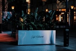 A stylish and modern planter with lush green foliage is placed outside a cafe or restaurant, which is softly illuminated by warm street lamps. The planter is marked 'Café Kitsuné Paris' and there are reflective surfaces with a cozy, urban ambiance.