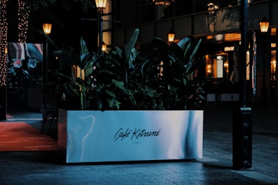 A stylish and modern planter with lush green foliage is placed outside a cafe or restaurant, which is softly illuminated by warm street lamps. The planter is marked 'Café Kitsuné Paris' and there are reflective surfaces with a cozy, urban ambiance.