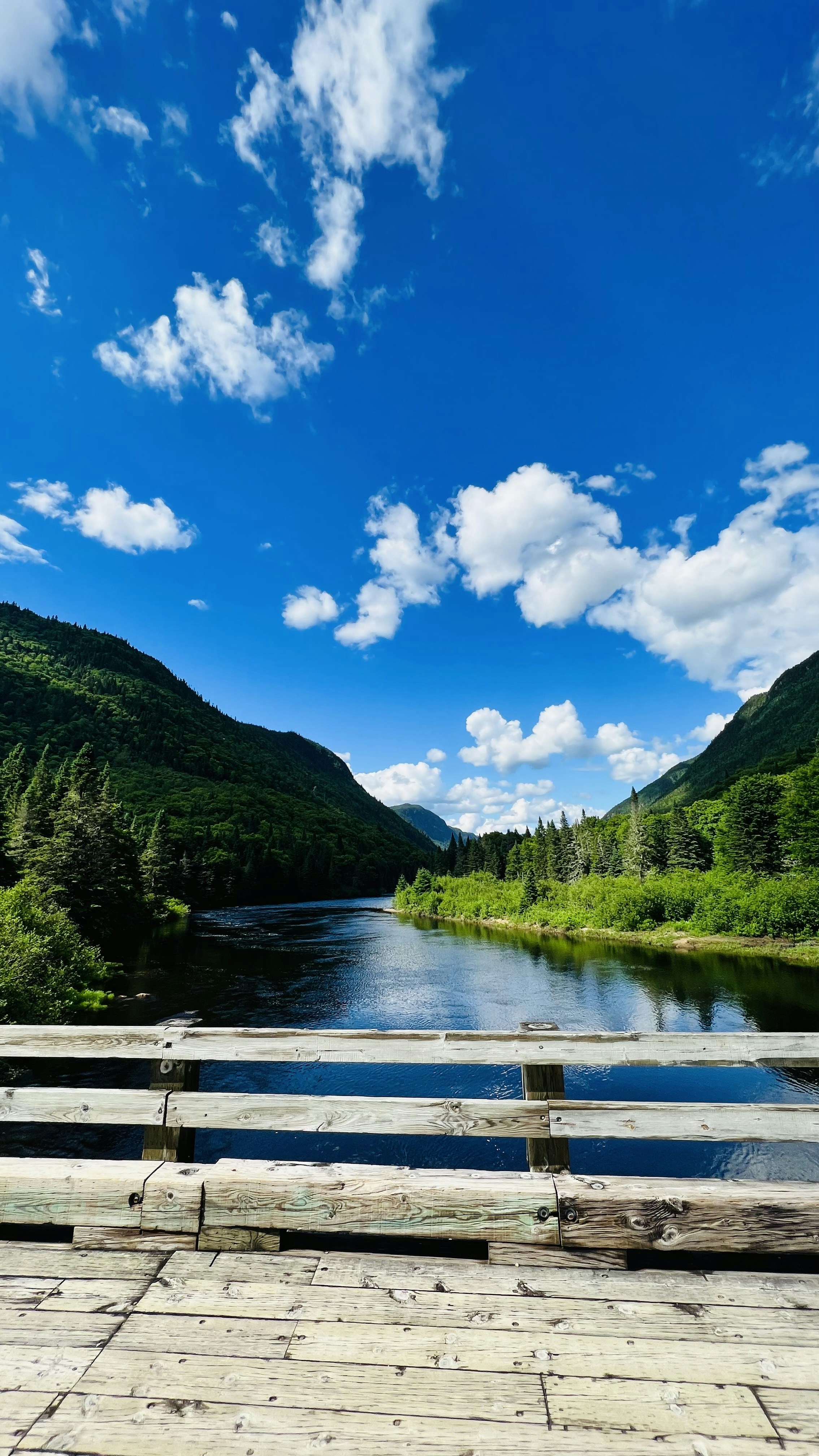 Photo by thelongfatnetwork