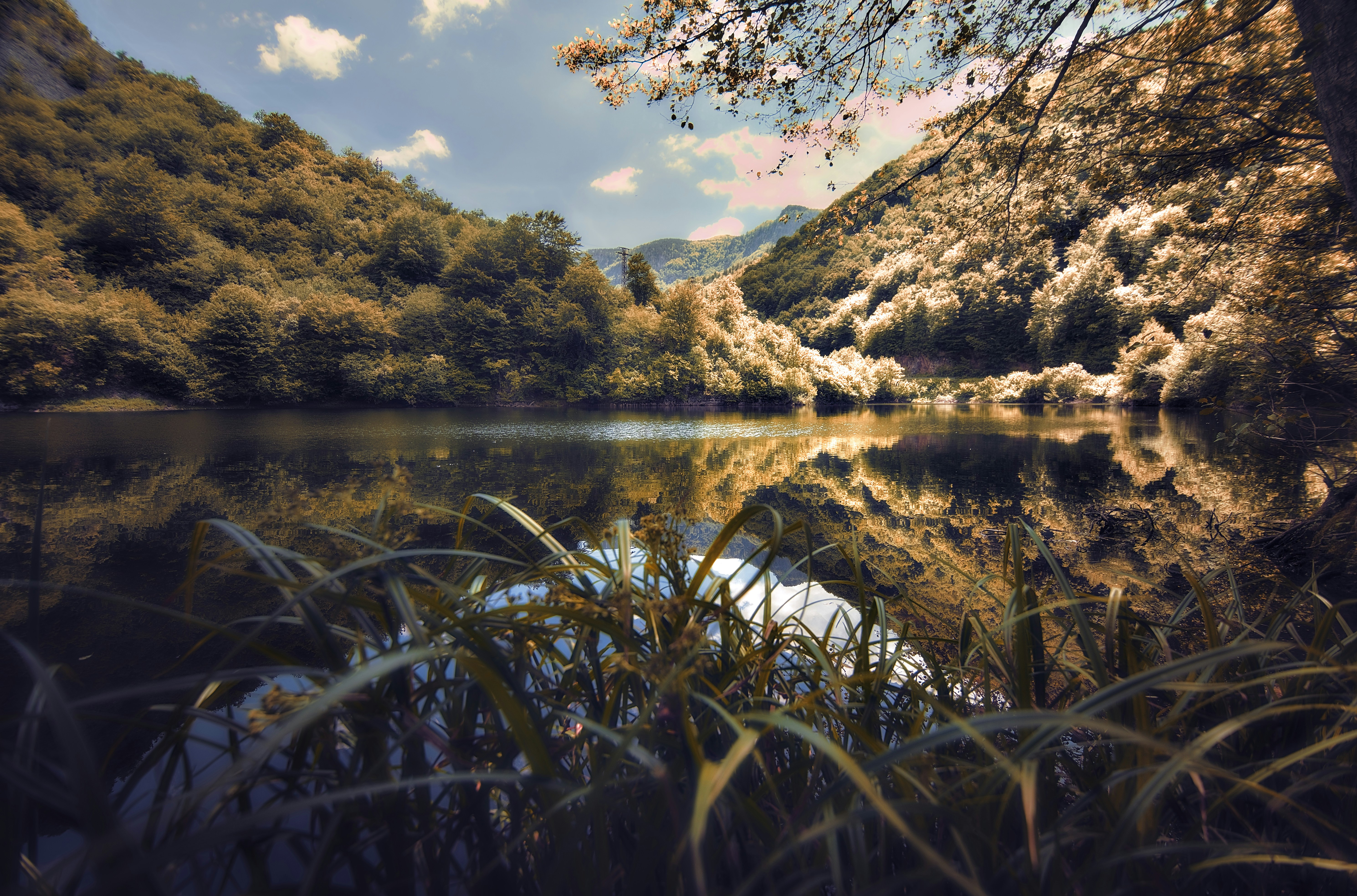 Photo by blooddrainer