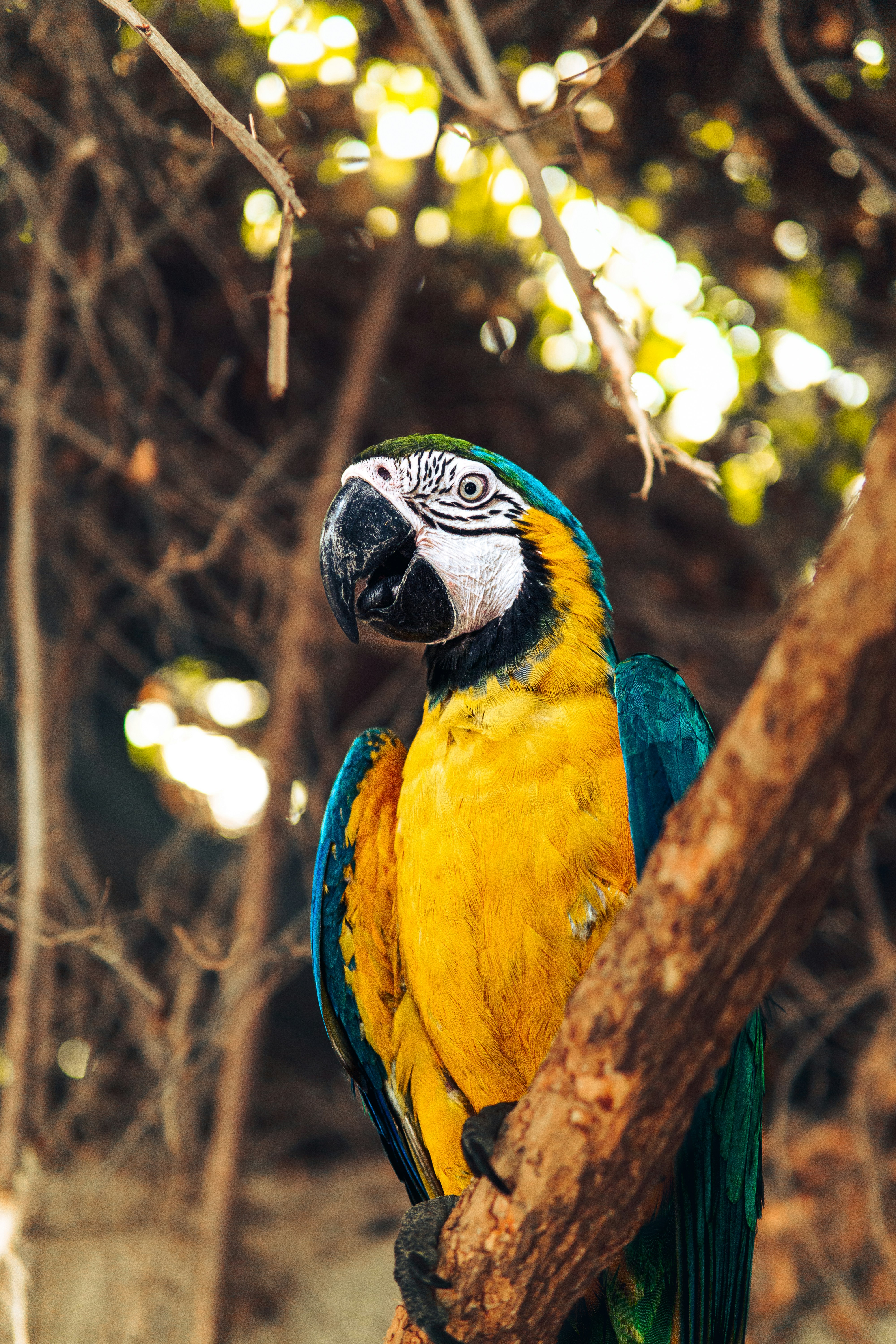 Photo by ttolgaaksoy