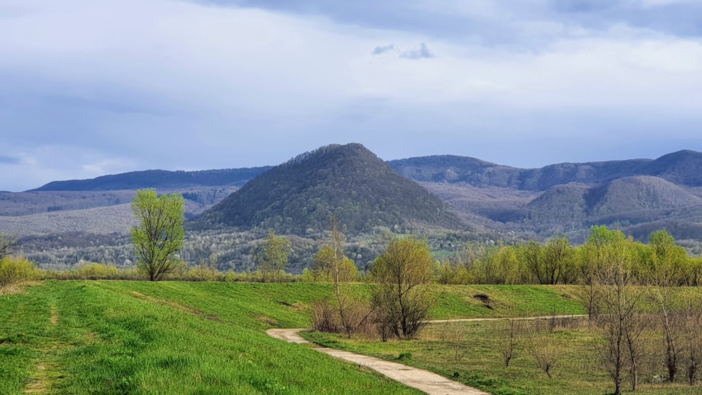 a dirt path winds through a lush green valley