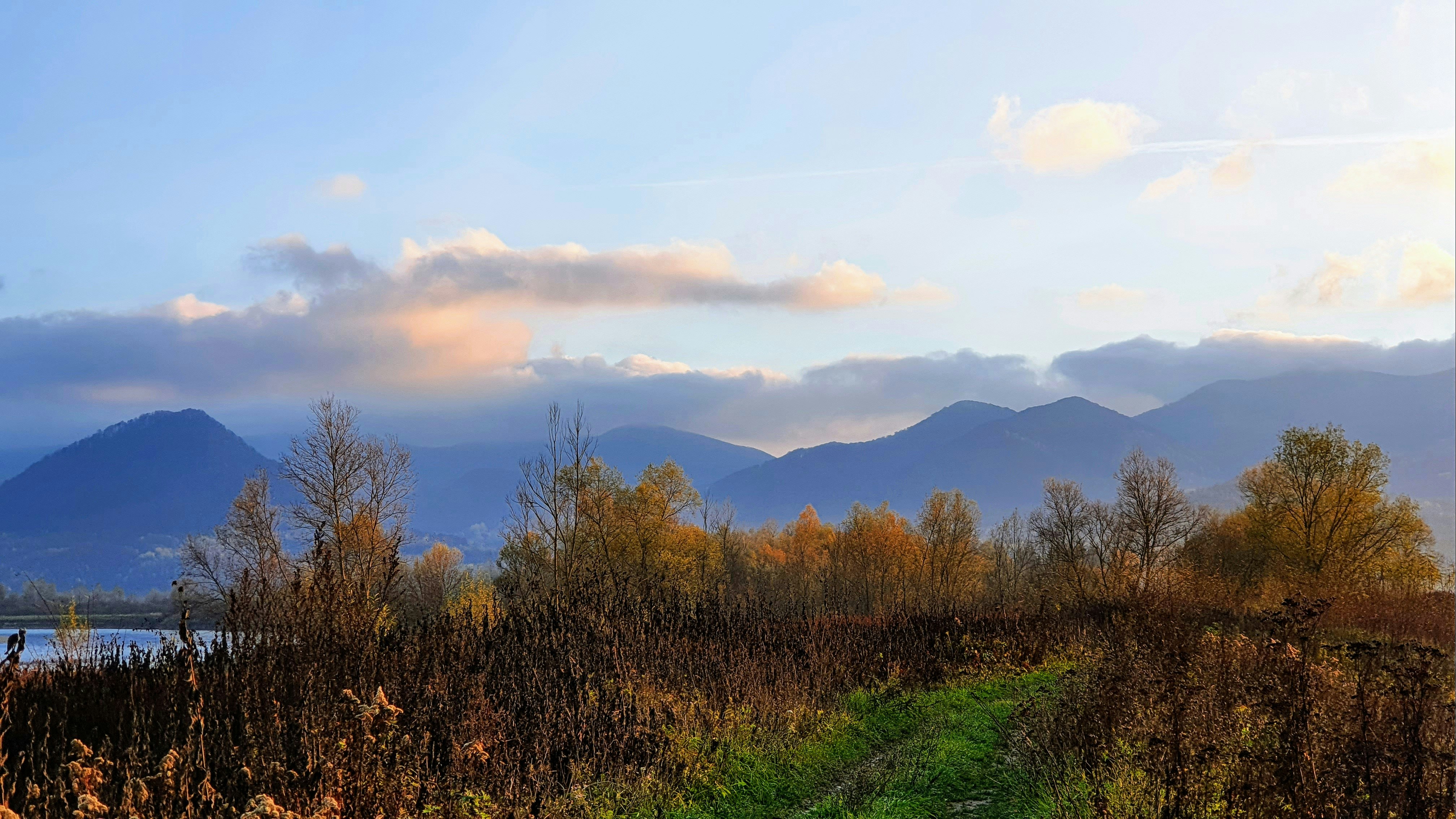 a grassy path in the middle of a field with mountains in the background