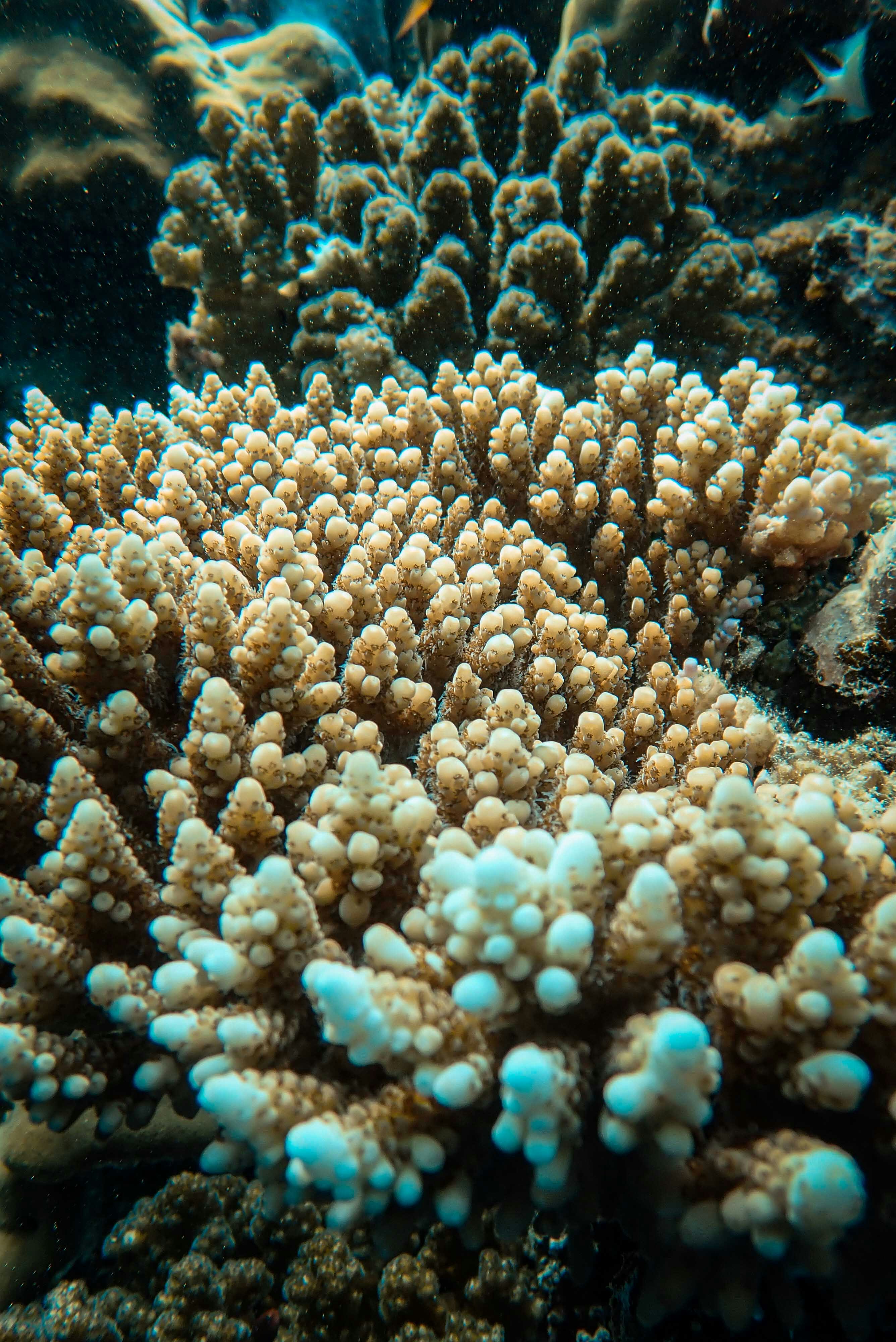 Photo by francesco_ungaro