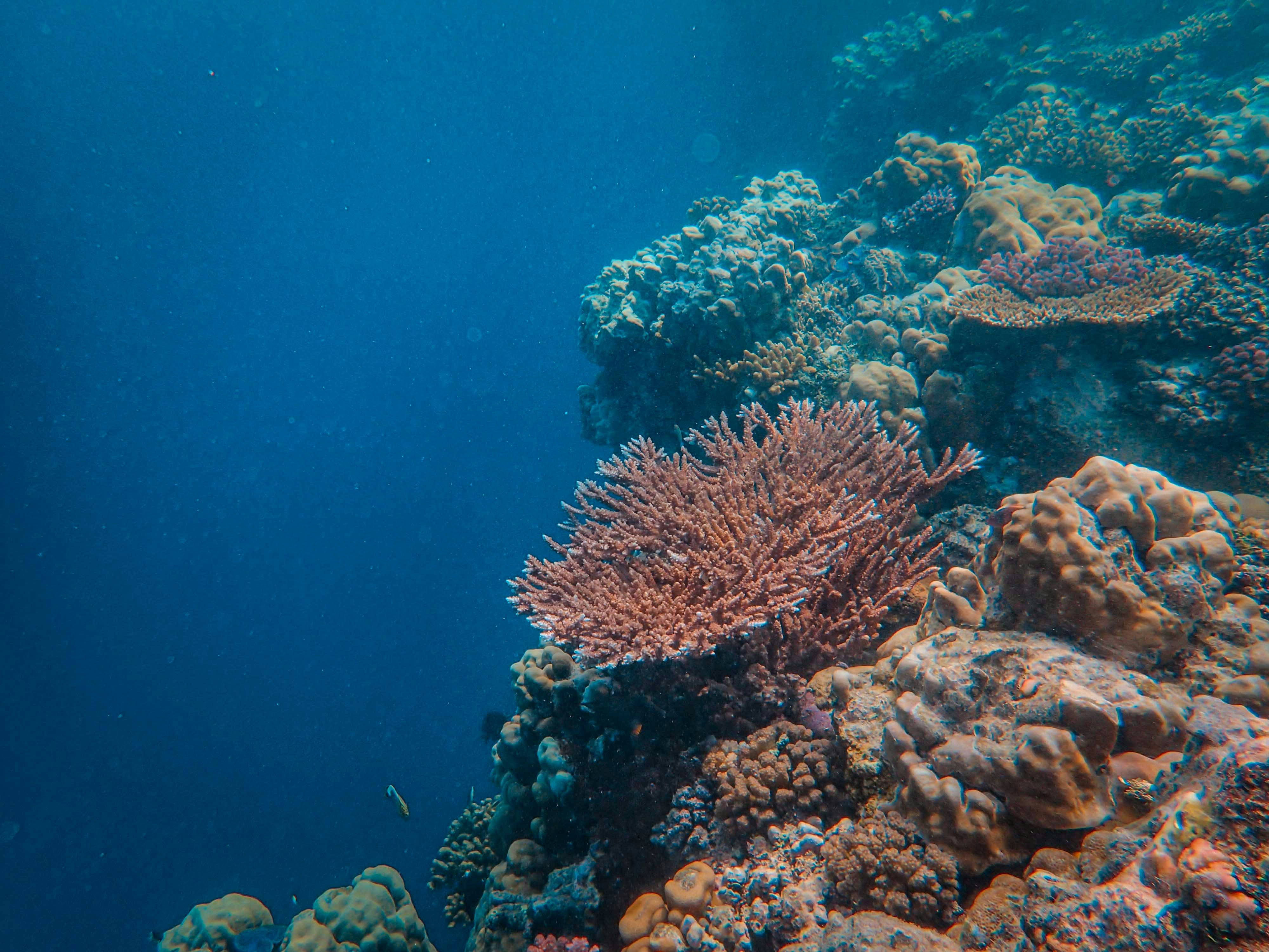 Photo by francesco_ungaro