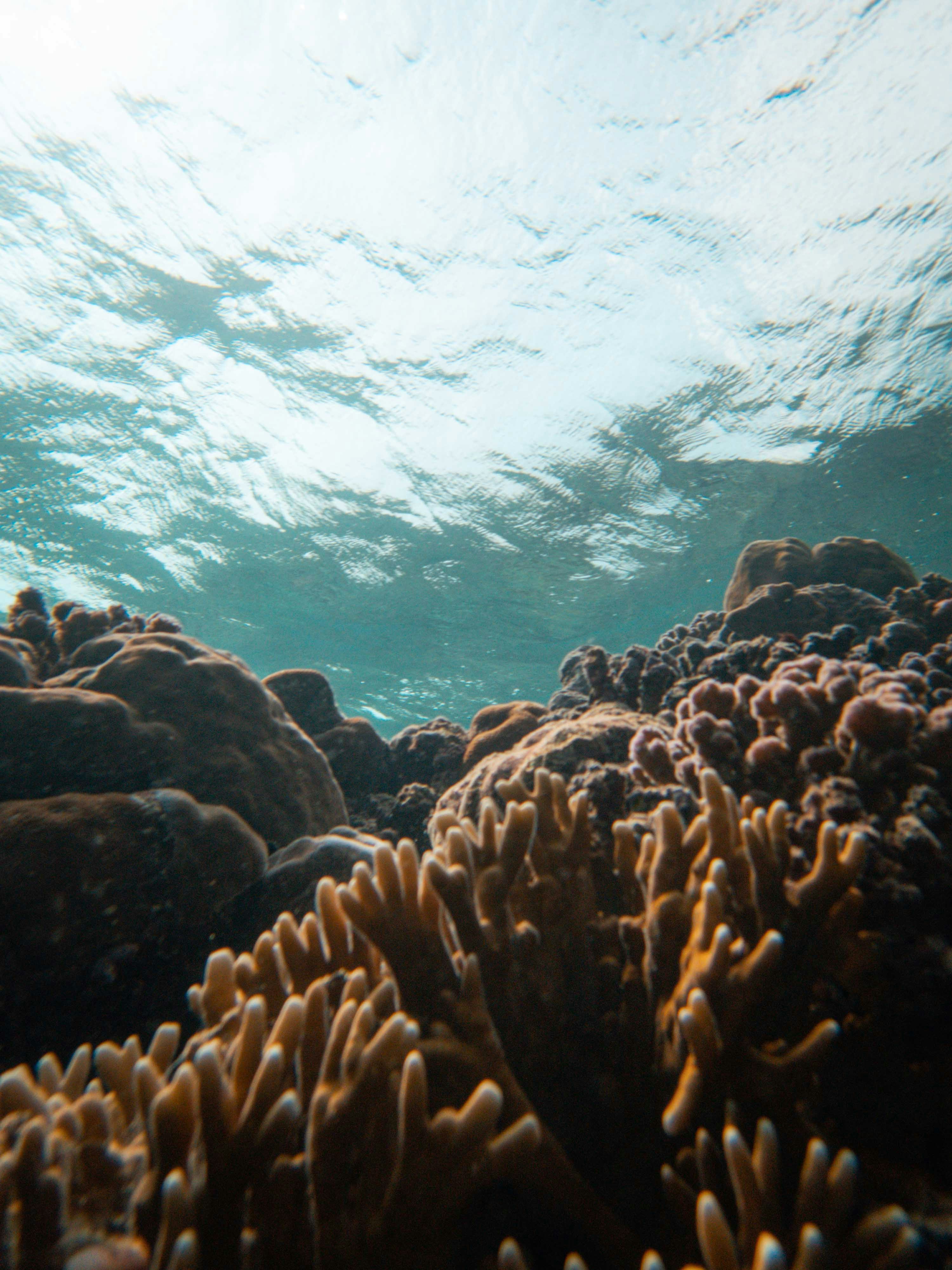 Photo by francesco_ungaro