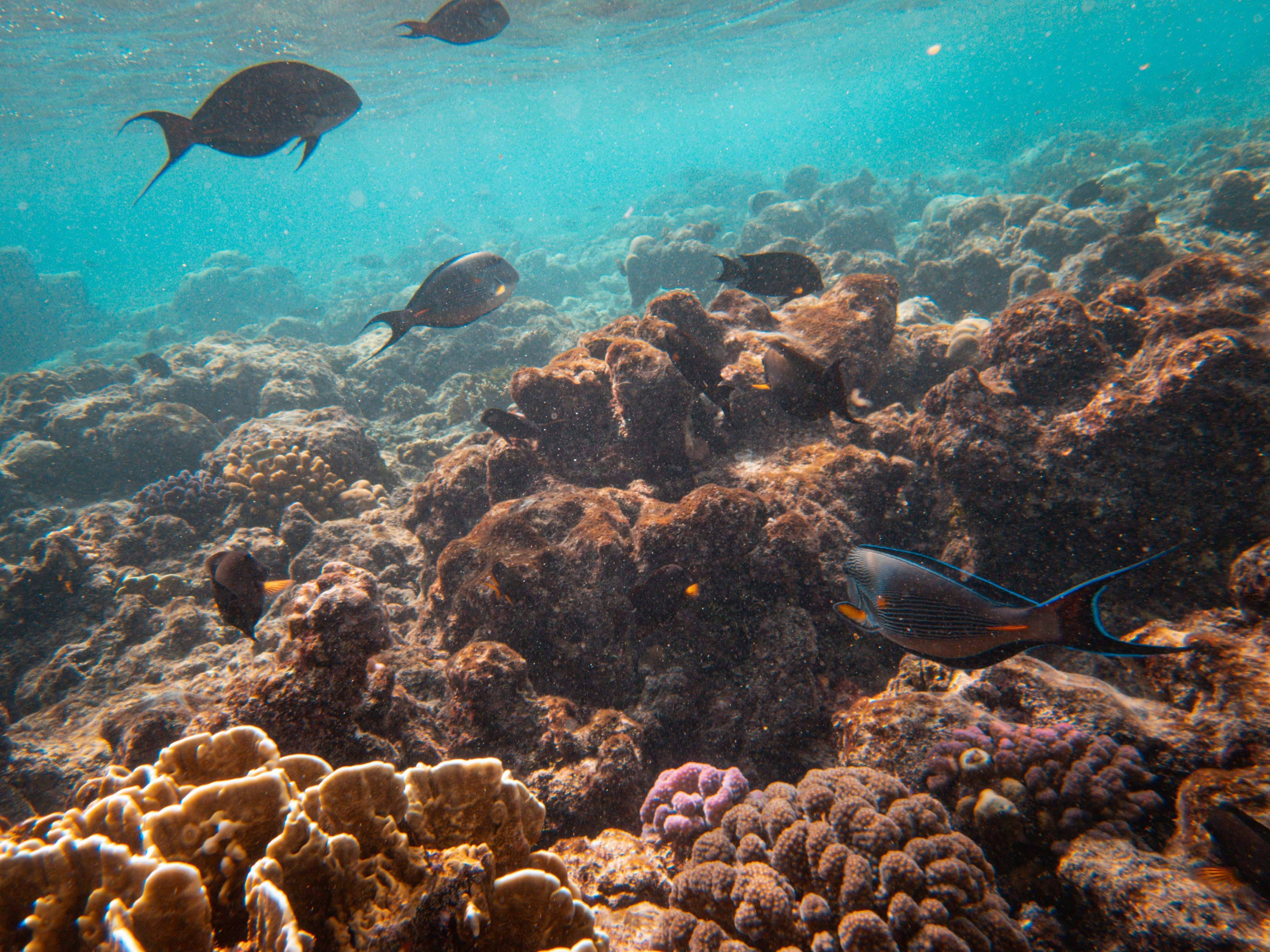 Photo by francesco_ungaro