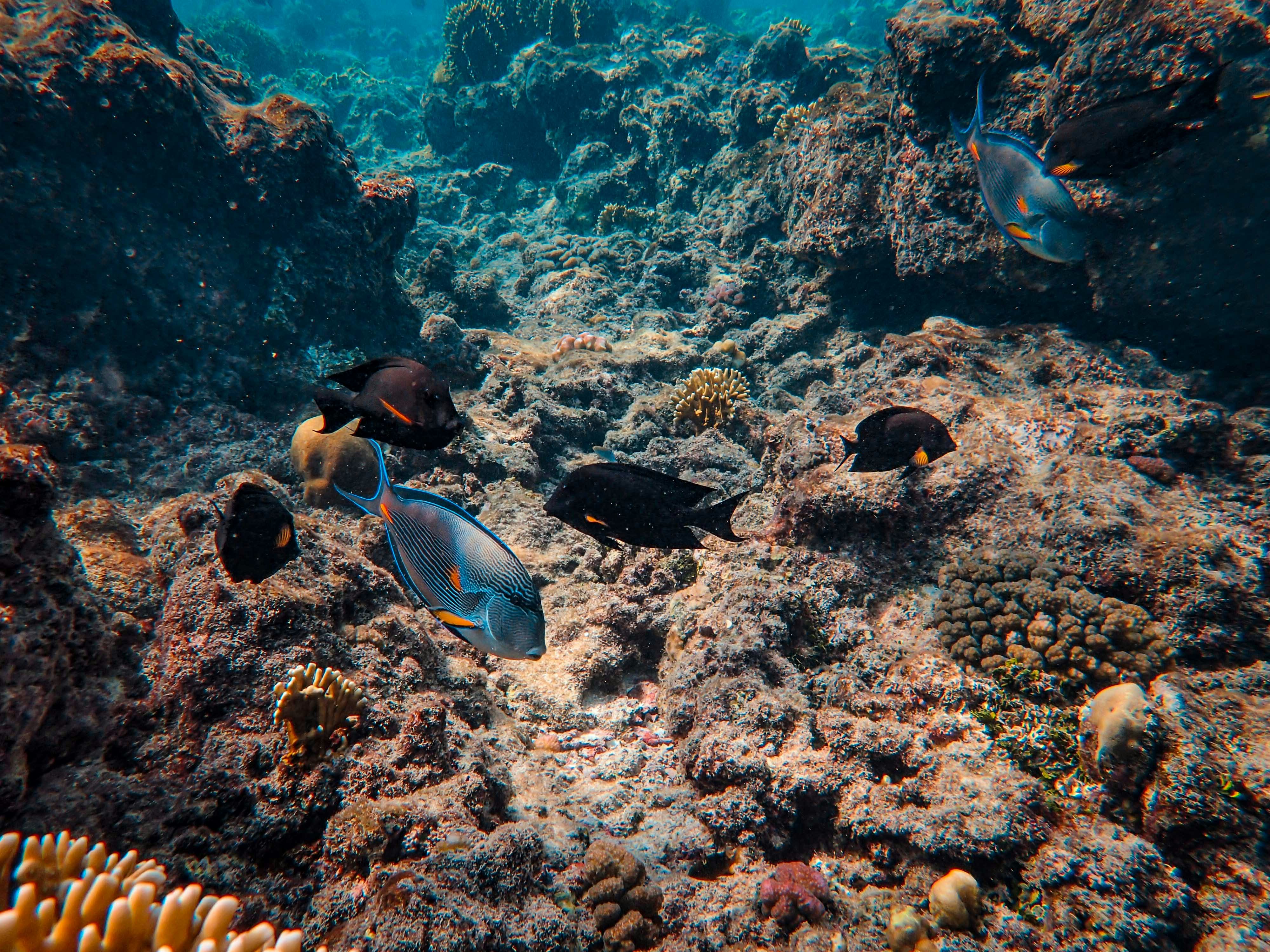 Photo by francesco_ungaro