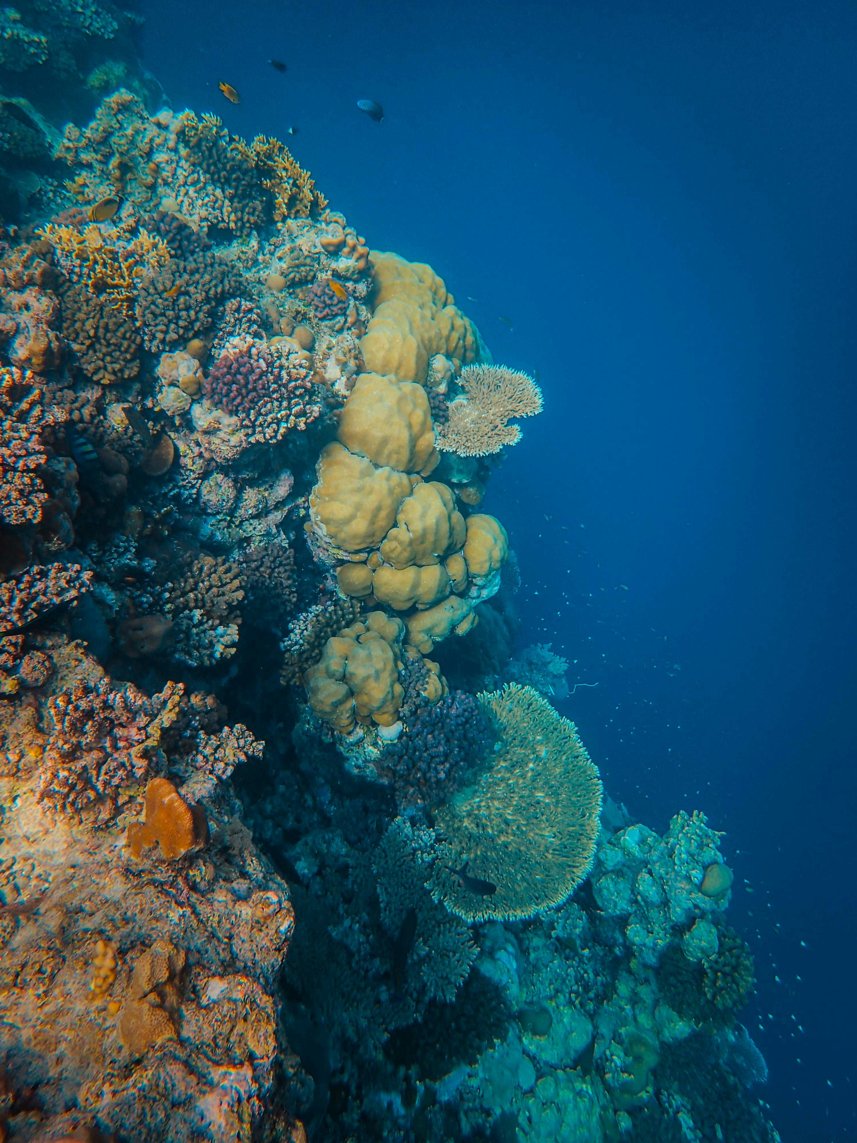 Photo by francesco_ungaro