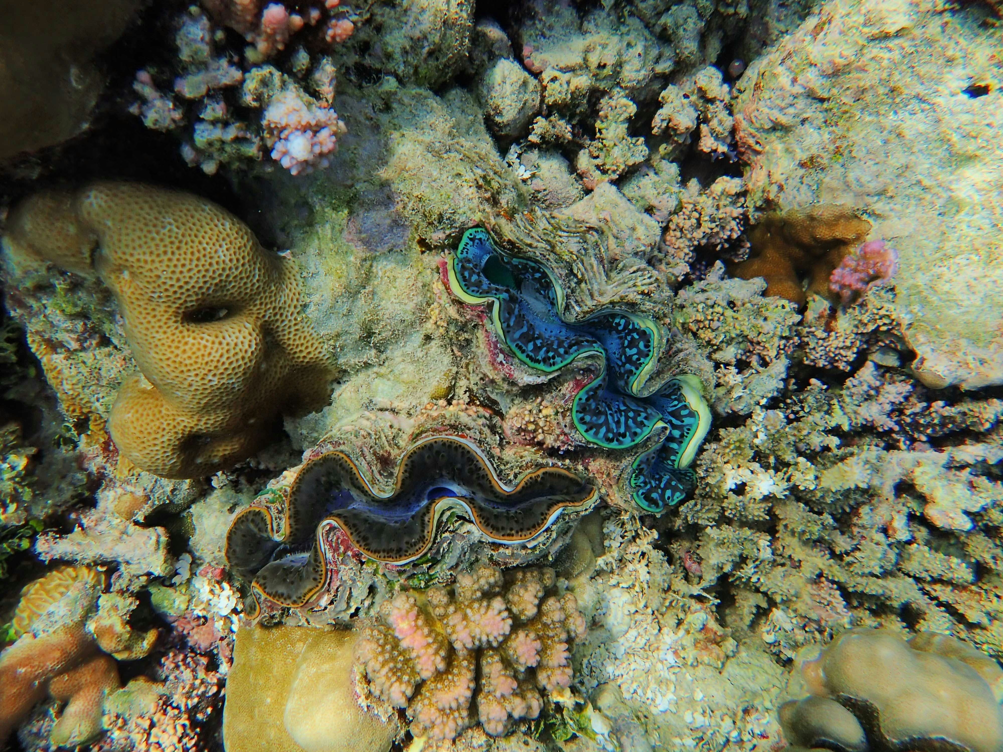 Photo by francesco_ungaro