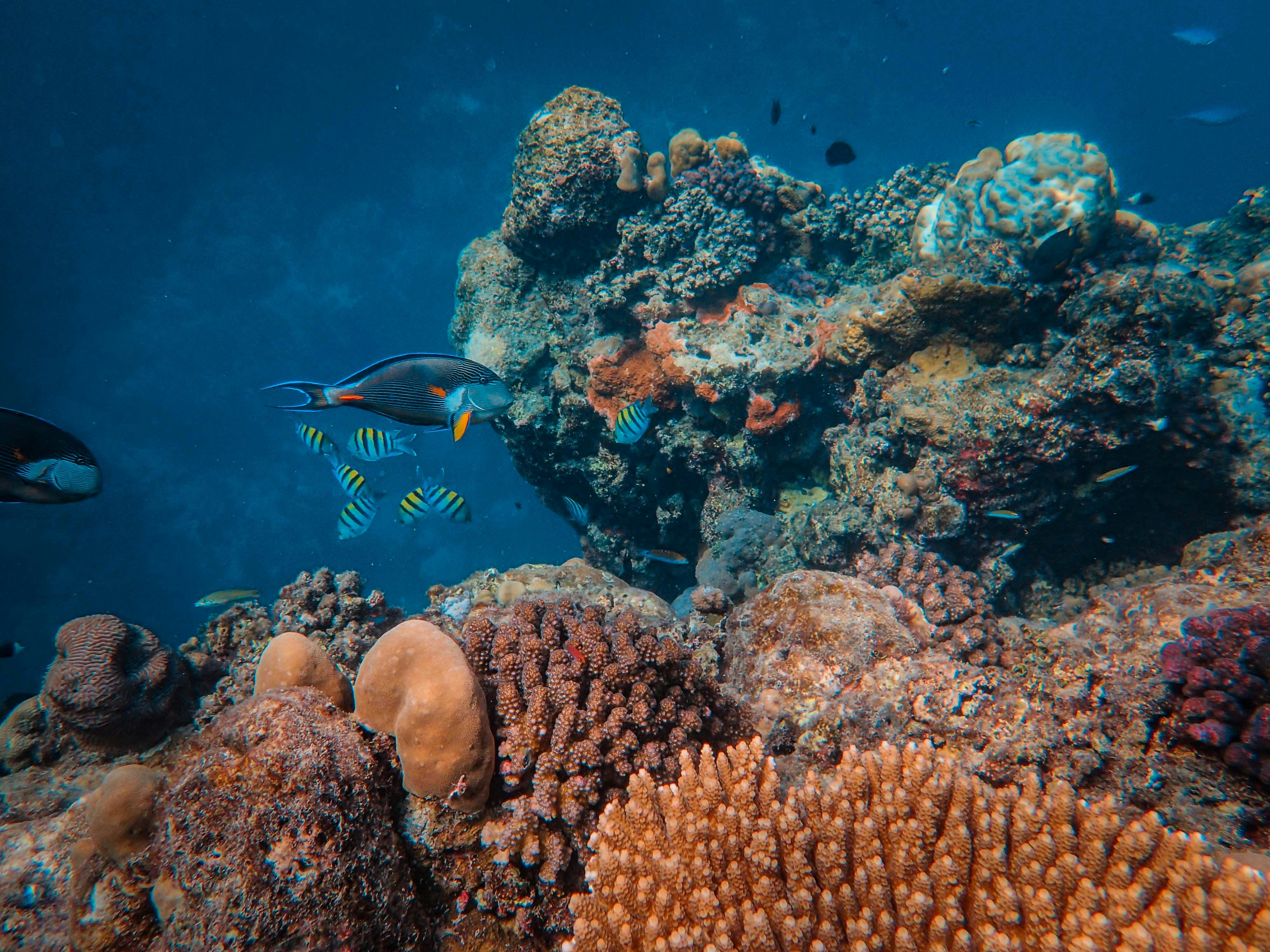 Photo by francesco_ungaro