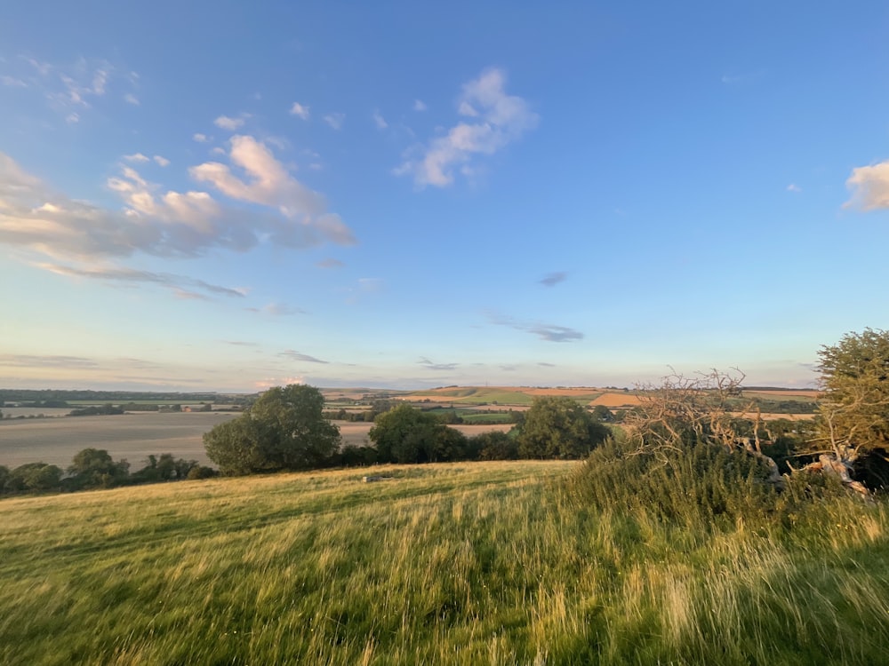 a grassy field with trees and a body of water in the distance