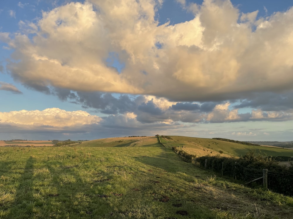 a grassy field with a fence in the foreground