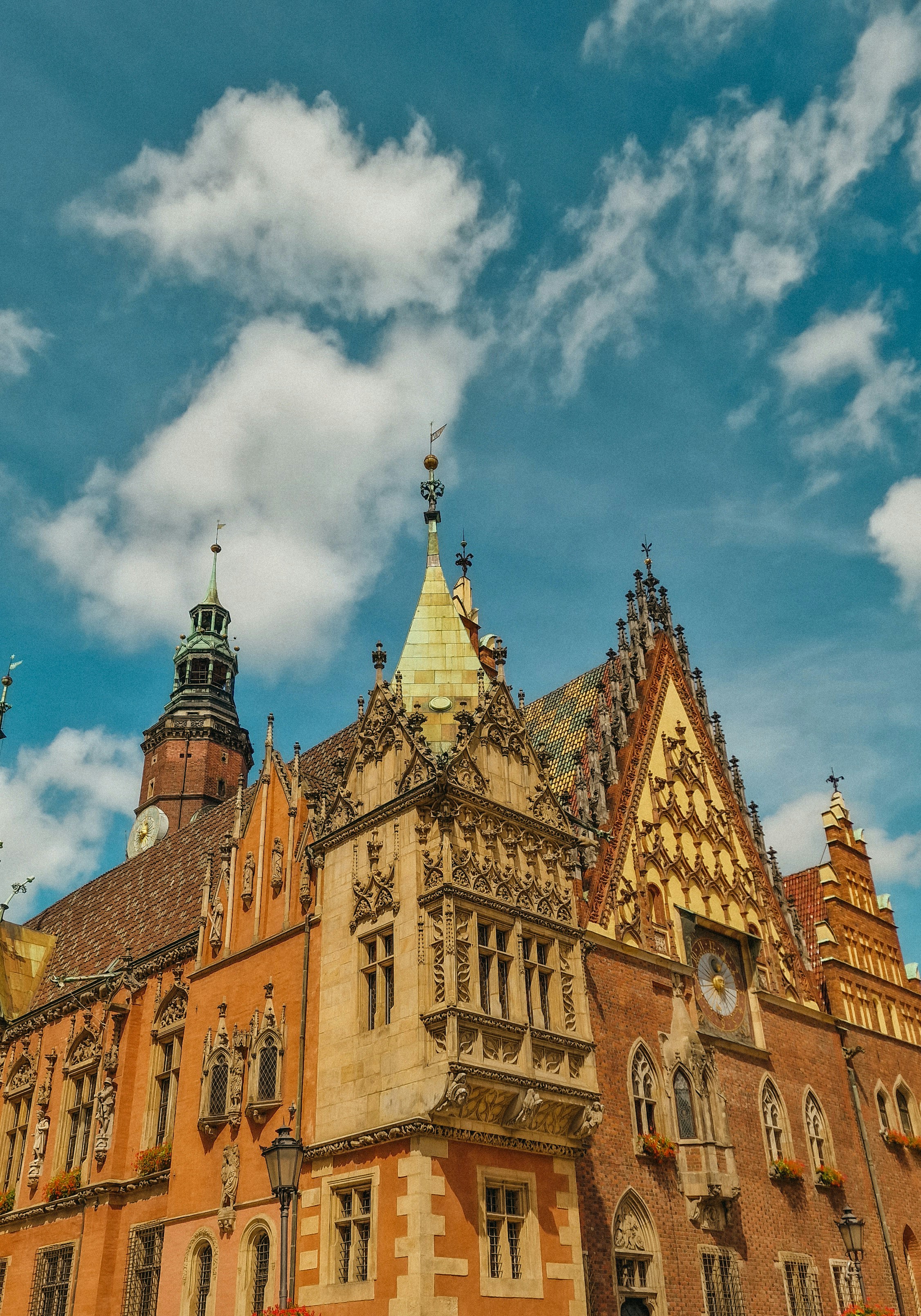 Photo by timelineofmyshots