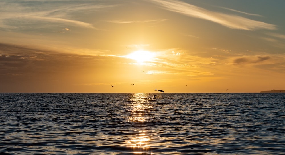 a bird flying over the ocean at sunset