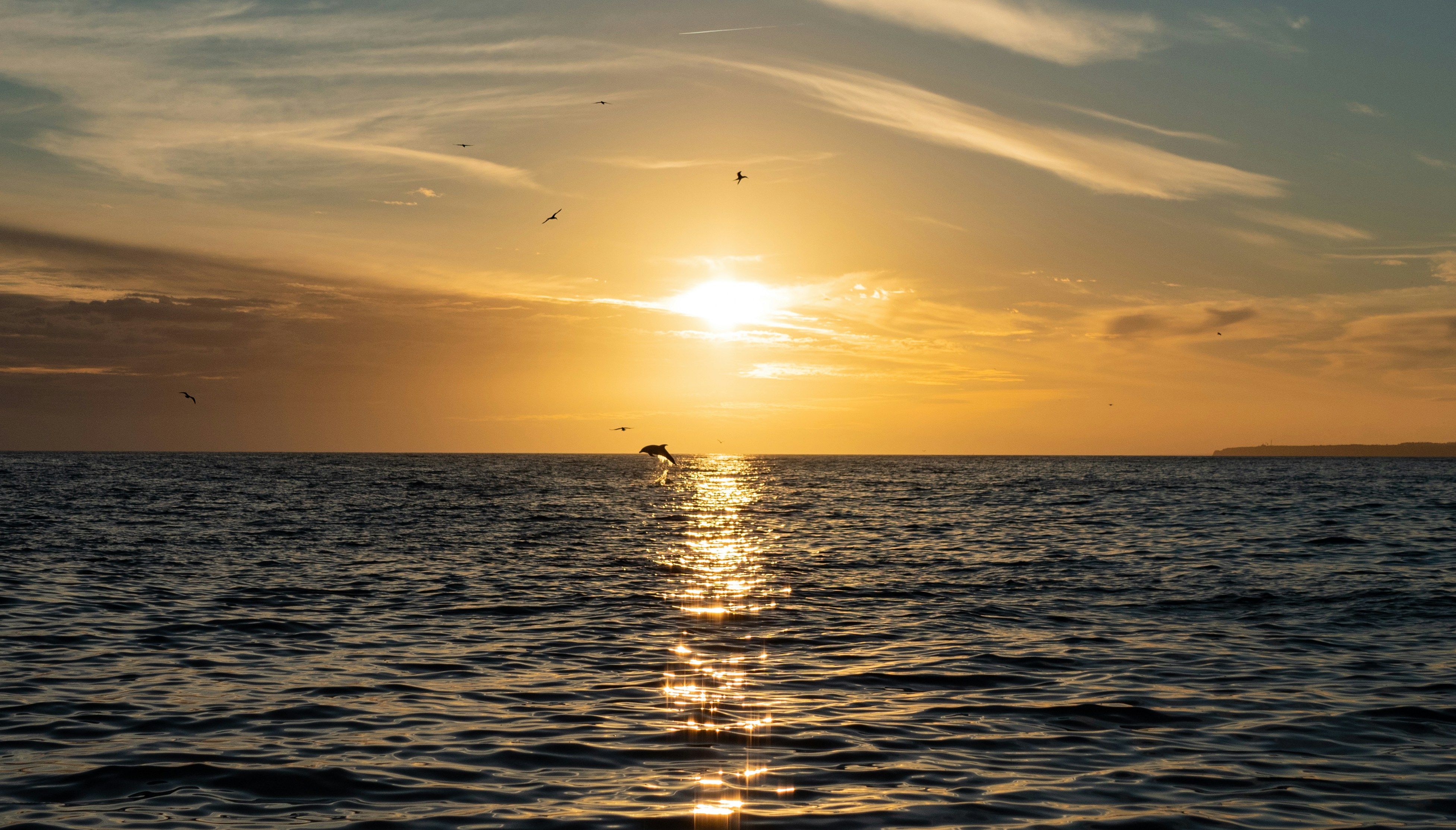 Photo by poli_graphy