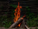 A stack of wooden logs burning with bright orange flames that rise into the air. The fire is situated in an outdoor setting, surrounded by lush green vegetation. In the background, there is a rustic wooden fence made from horizontal wooden slats, adding to the natural environment.