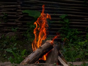 A stack of wooden logs burning with bright orange flames that rise into the air. The fire is situated in an outdoor setting, surrounded by lush green vegetation. In the background, there is a rustic wooden fence made from horizontal wooden slats, adding to the natural environment.