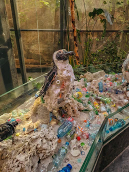 A sculpture resembling a penguin, crafted from various pieces of trash and plastic, is surrounded by an assortment of discarded plastic bottles and debris. The setting appears to be an indoor display case within a naturalistic environment, accented by plants and rocks.