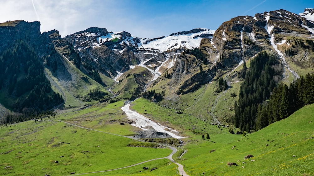 a road winding through a lush green valley