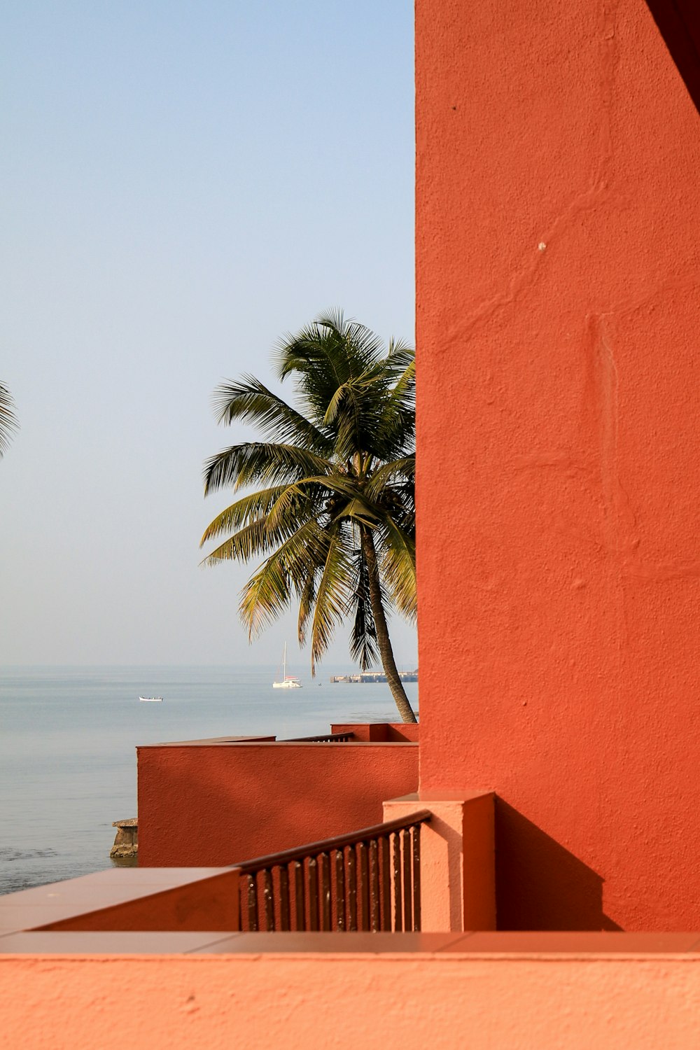 Una vista del océano y una palmera