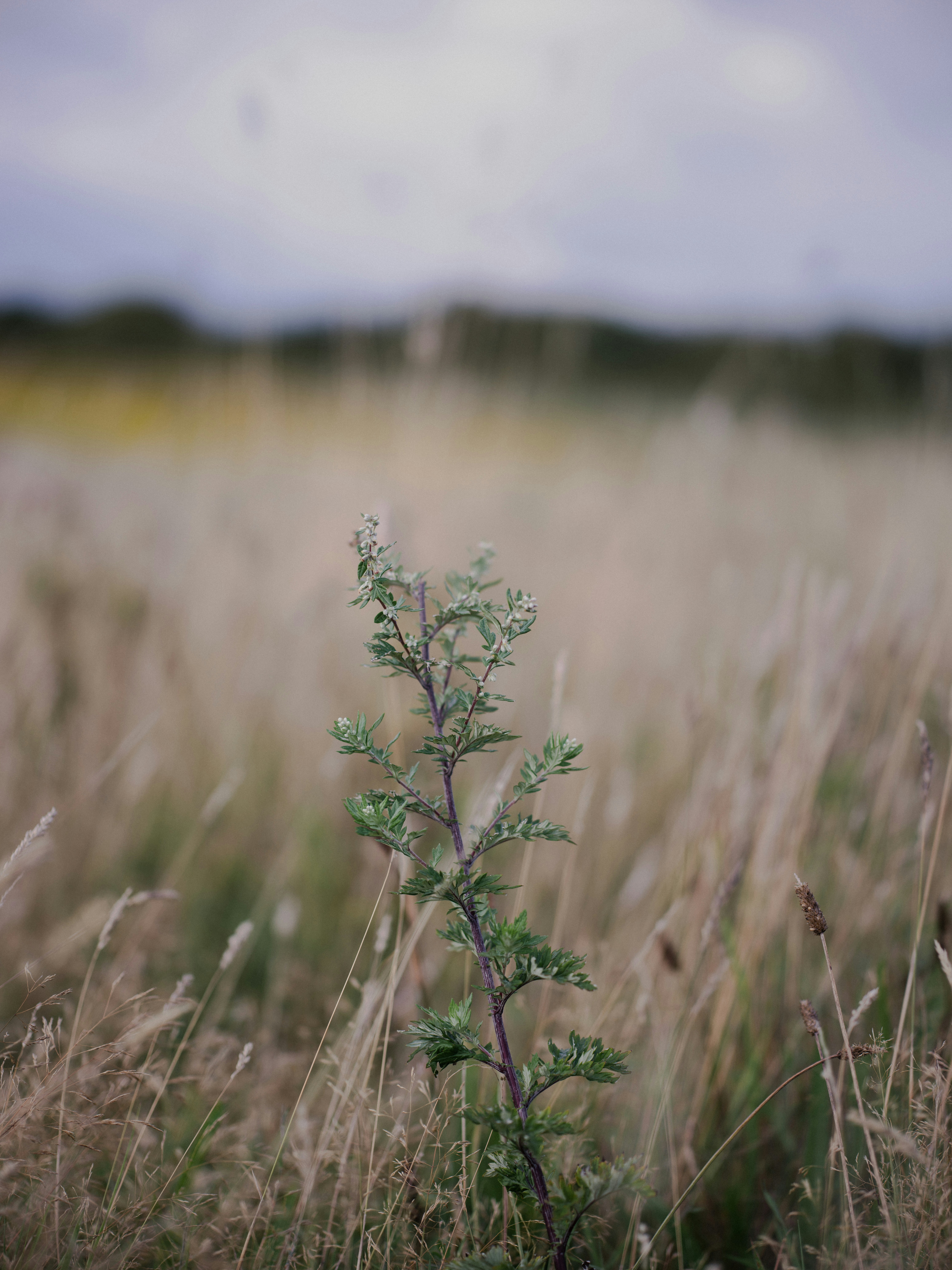 Photo by anniespratt