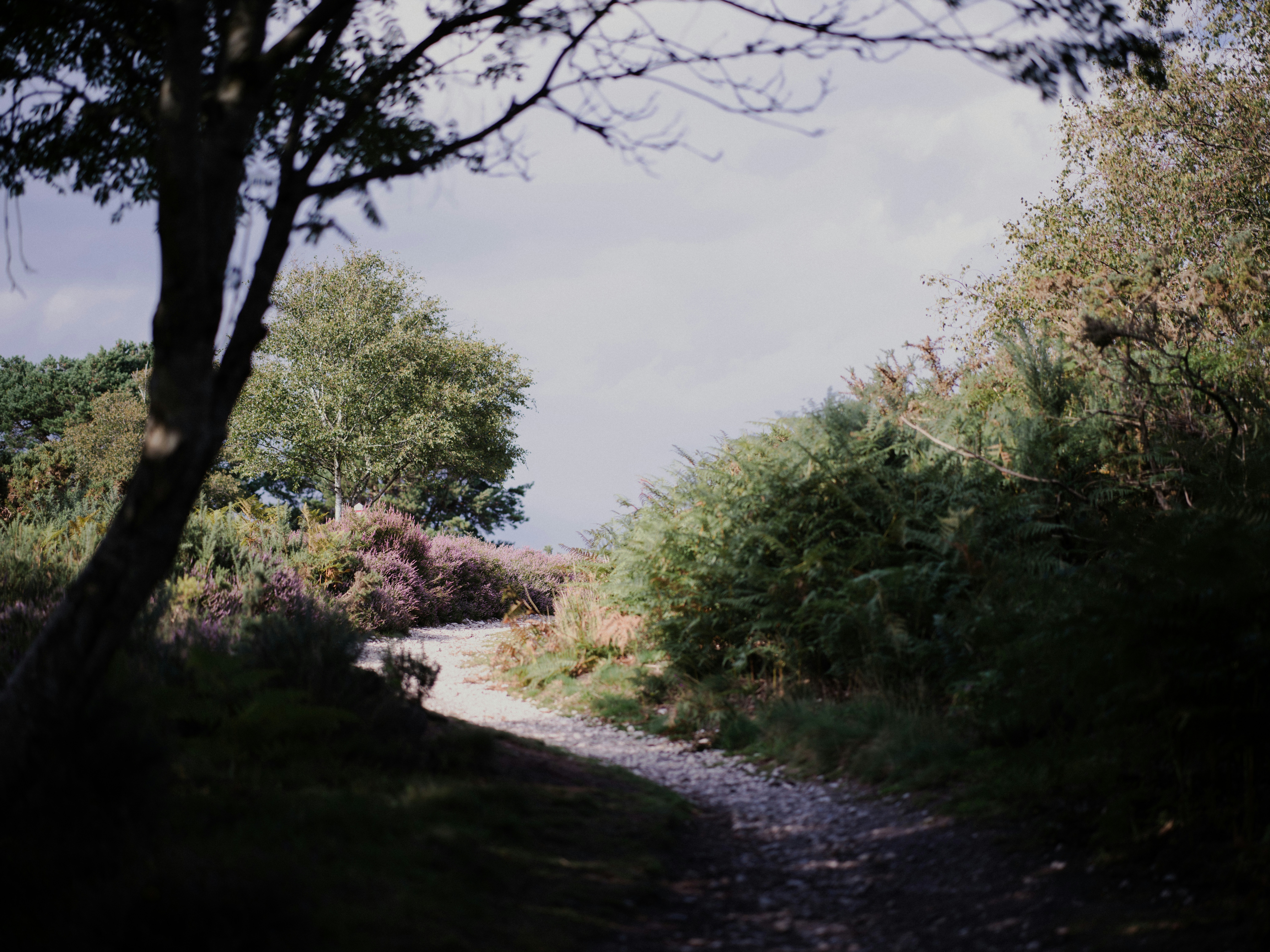 Photo by anniespratt