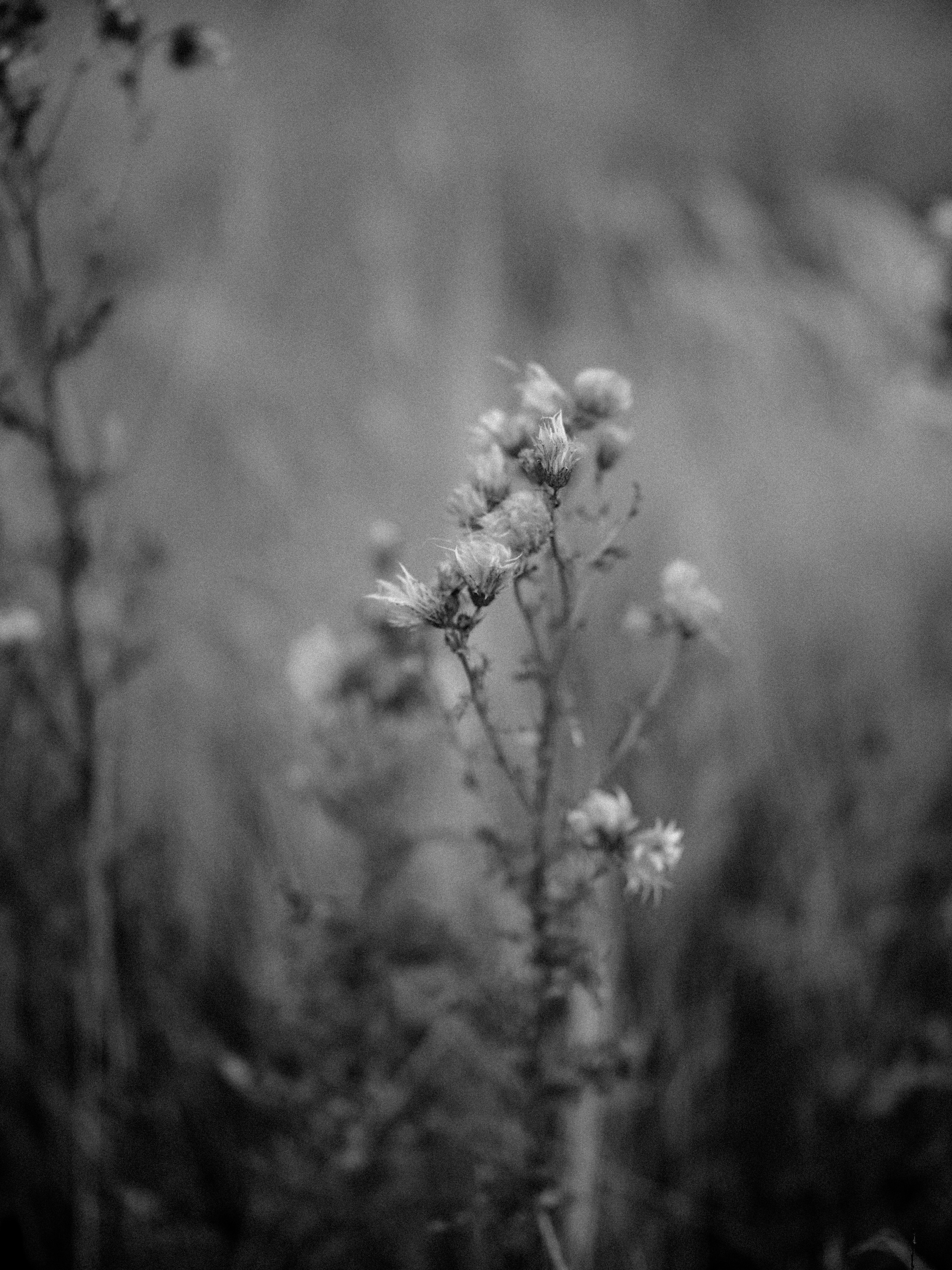 Photo by anniespratt