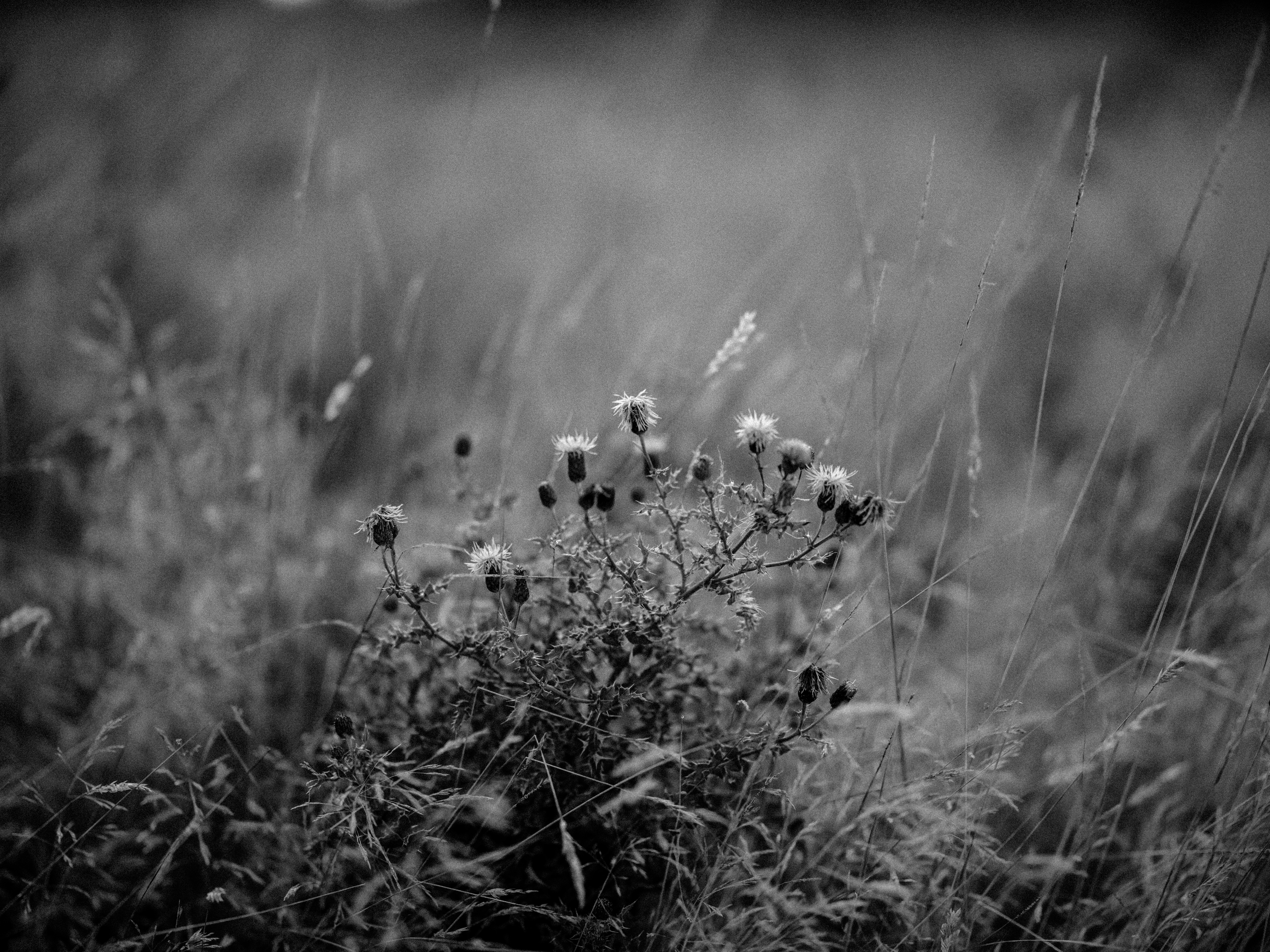 Photo by anniespratt