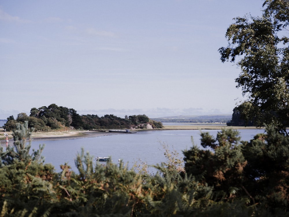 a lake with a boat in it surrounded by trees