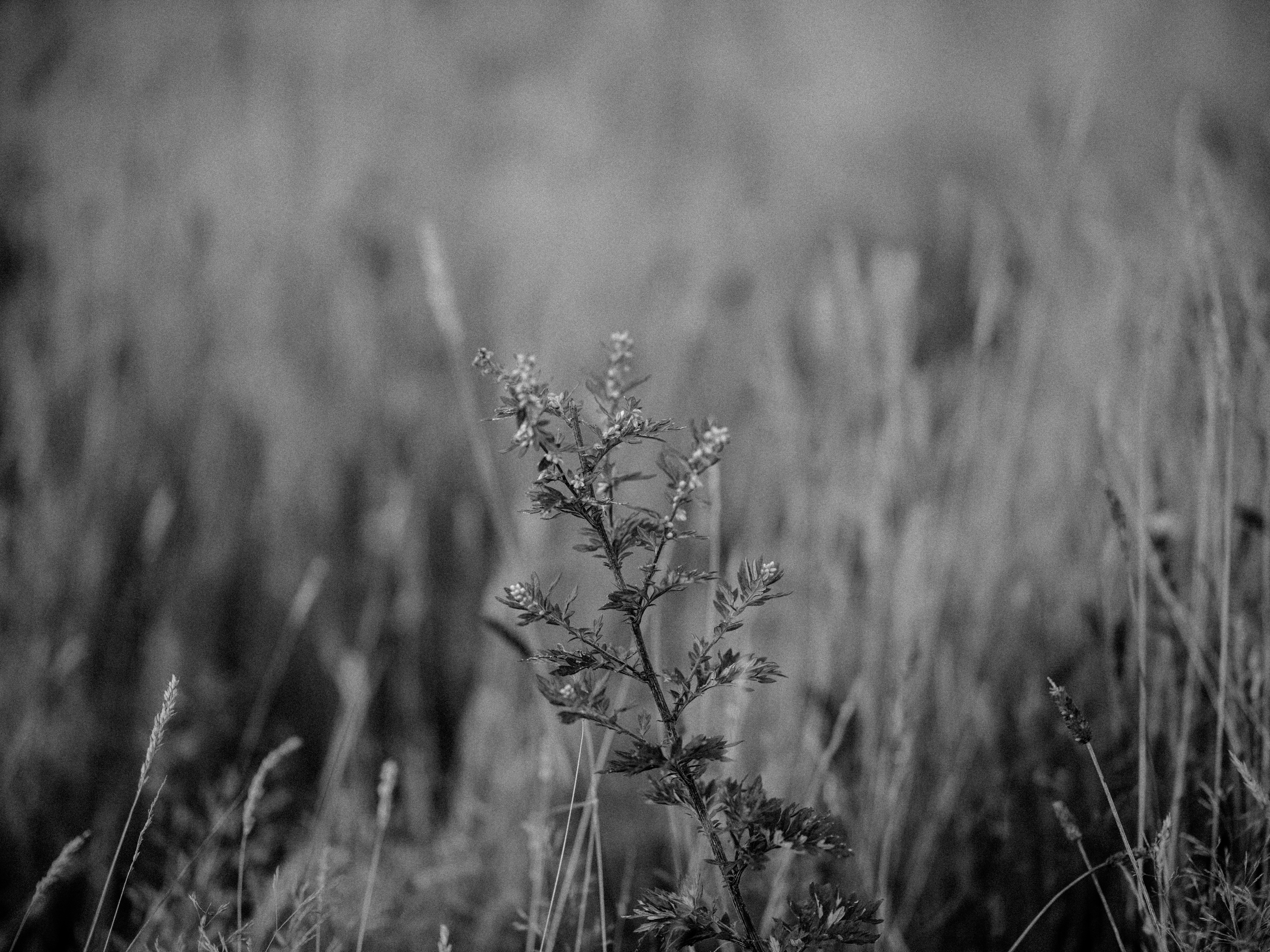 Photo by anniespratt