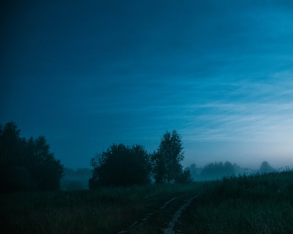 a dirt road in the middle of a grassy field