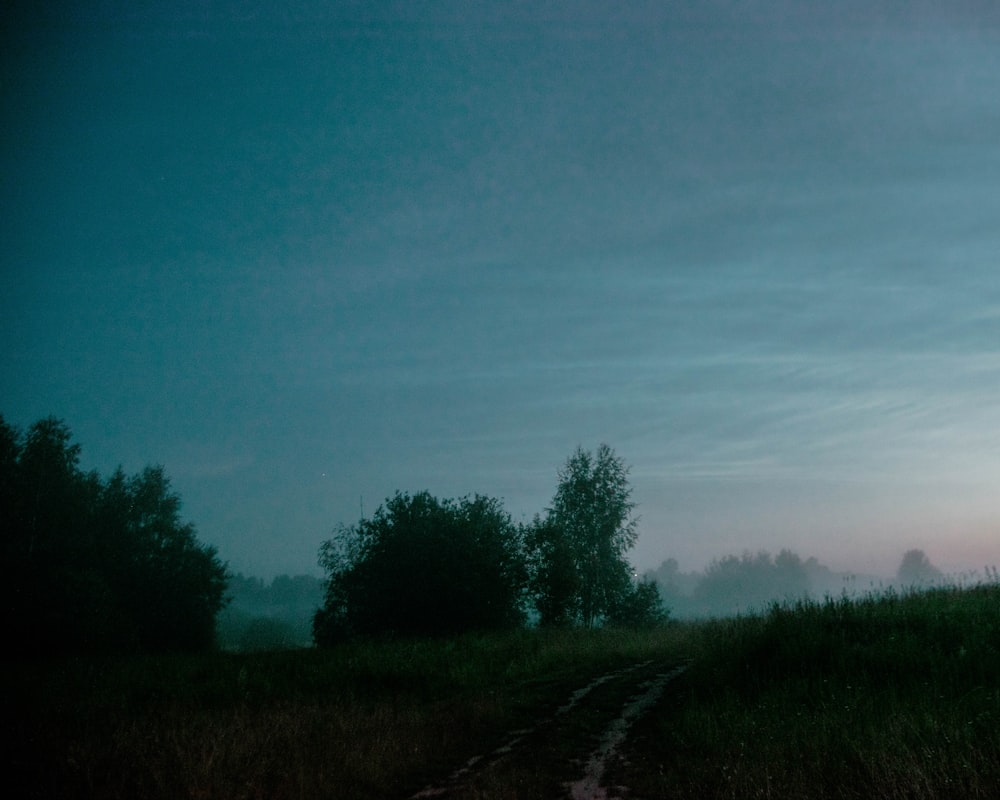 a dirt road in the middle of a grassy field