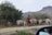 A person is herding a group of cattle on a dirt path in a rural setting. The herd is moving towards a dense bushy area with trees. There are distant hills visible in the background, suggesting a remote or mountainous region. Part of a vehicle mirror is visible in the lower right corner of the image.